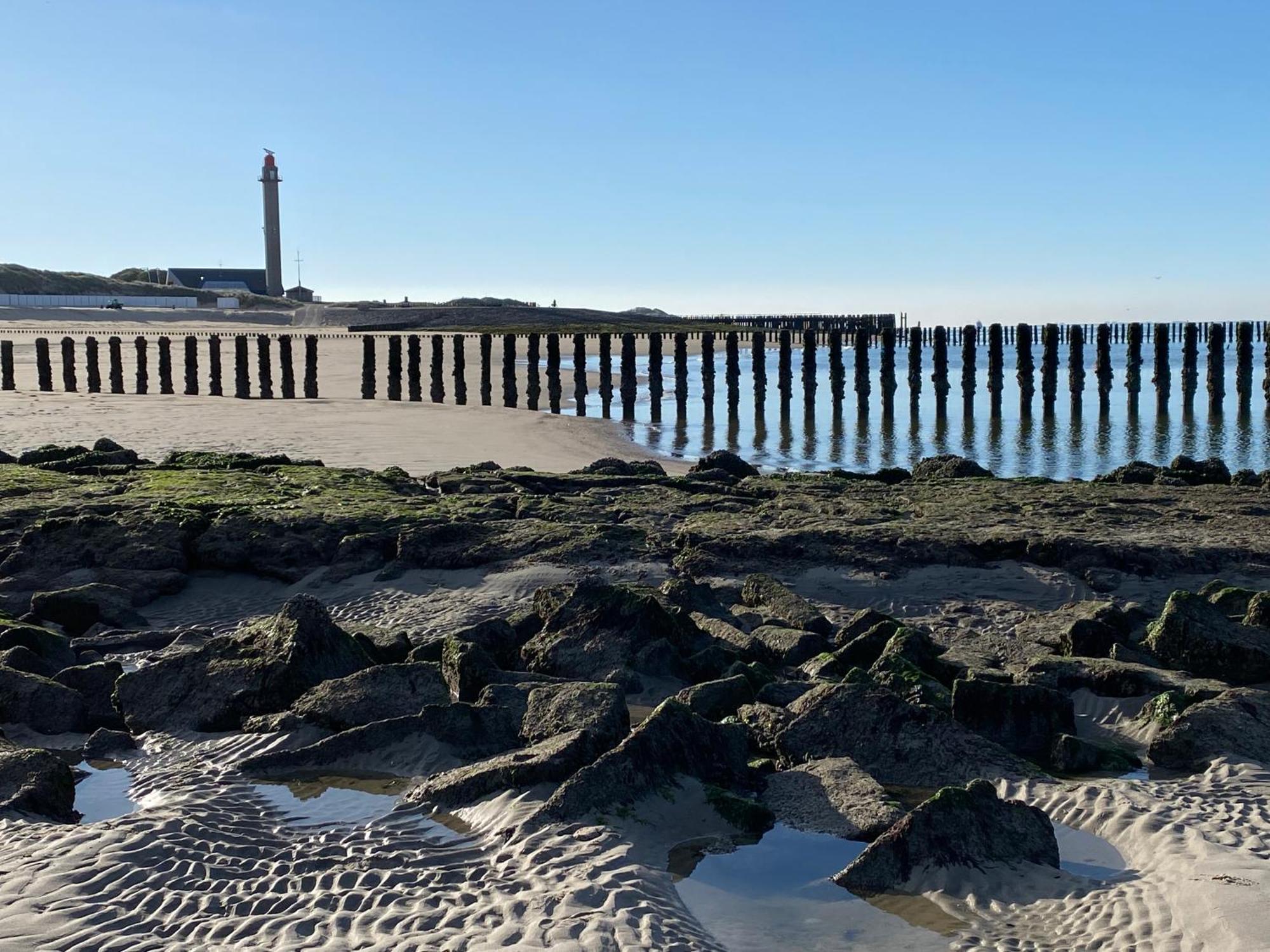 Vakantiewoning Westkaap 韦斯特卡佩勒 外观 照片