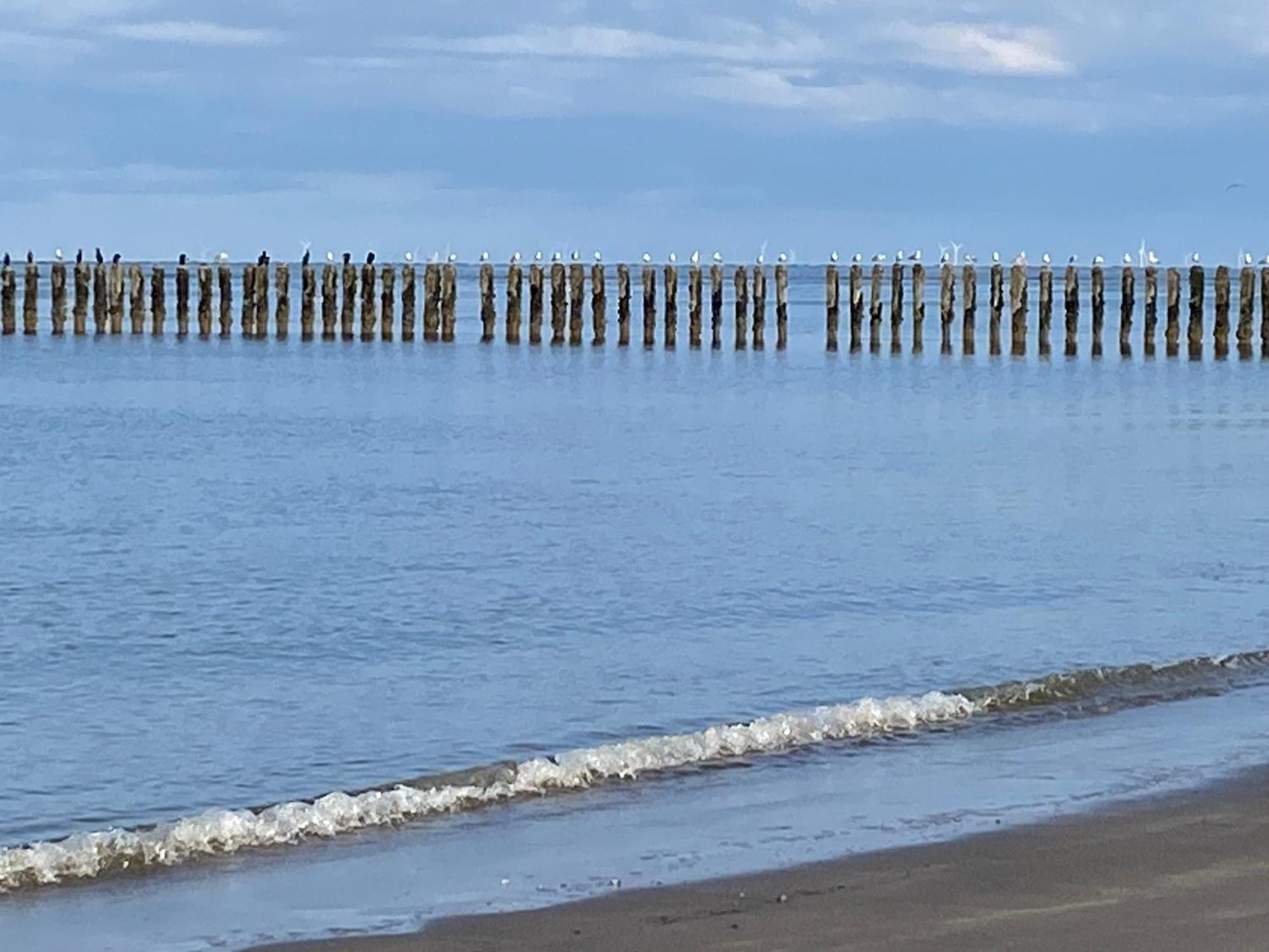 Vakantiewoning Westkaap 韦斯特卡佩勒 外观 照片